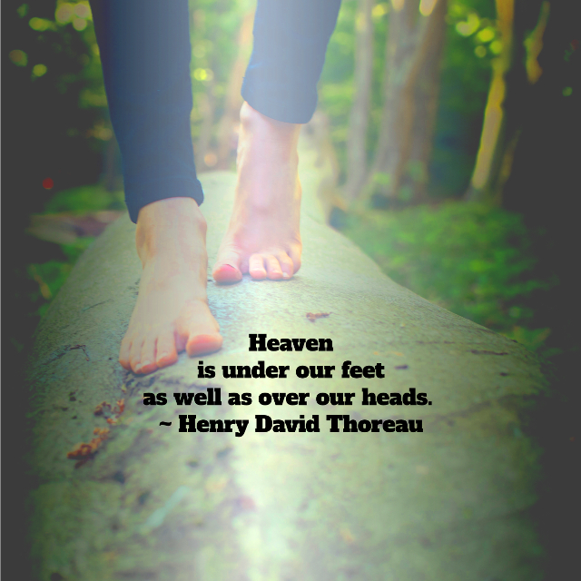 Heaven Is Under Our Feet