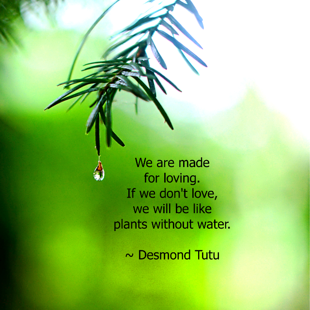 Made For Loving