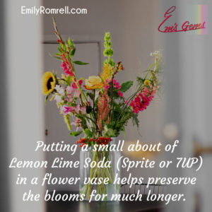 Preserve Blooms Longer