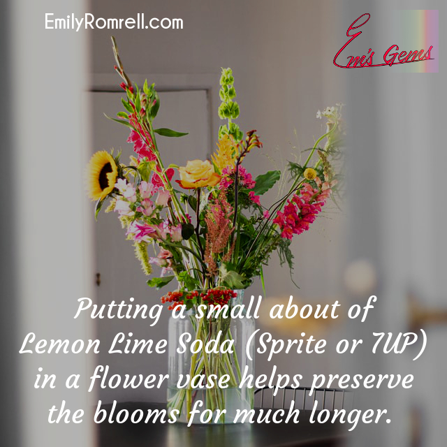 Preserve Blooms Longer