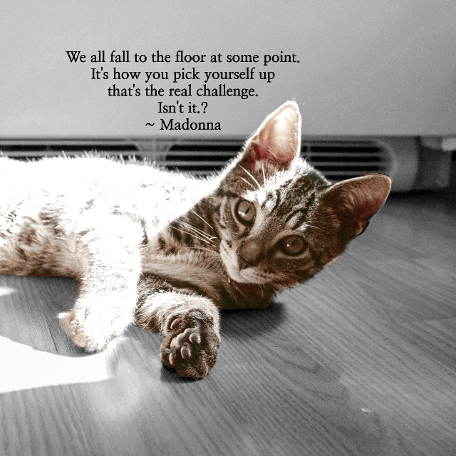 We All Fall To The Floor