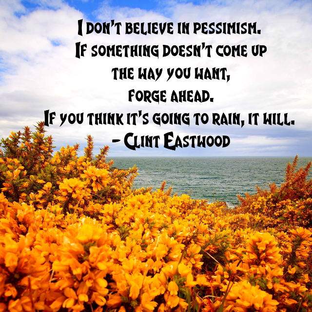 I Don’t Believe In Pessimism