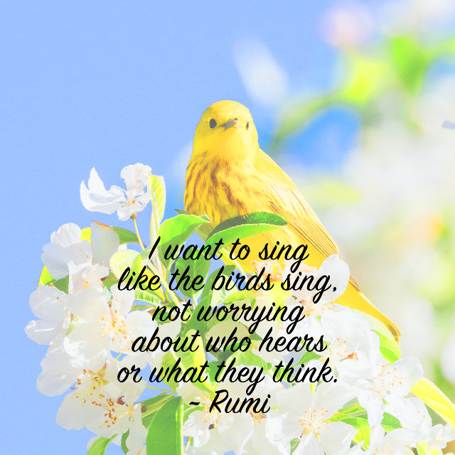 Like The Birds Sing