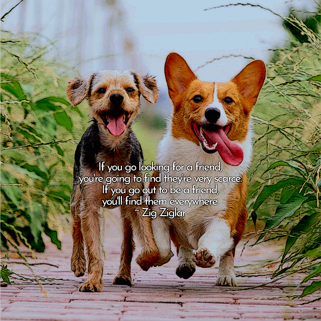 Go Out To Be A Friend