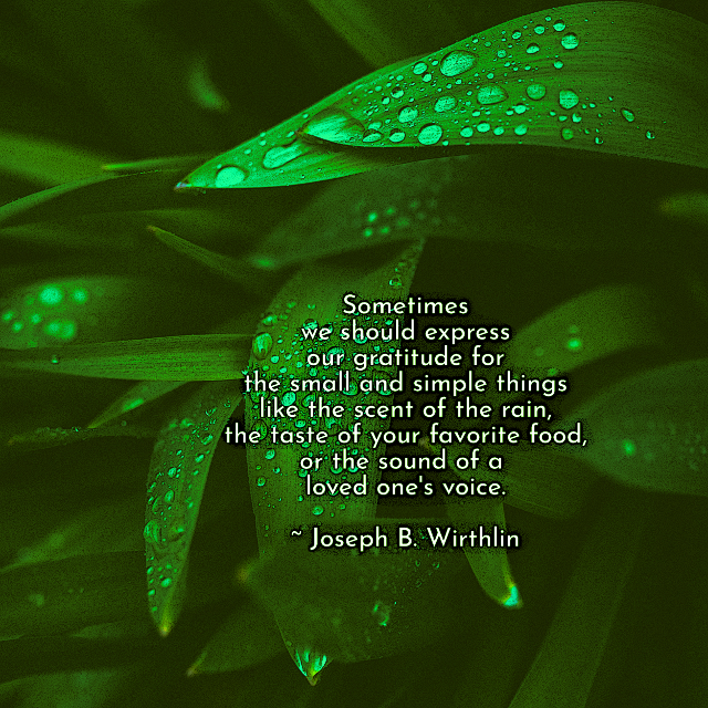 Gratitude For The Small And Simple