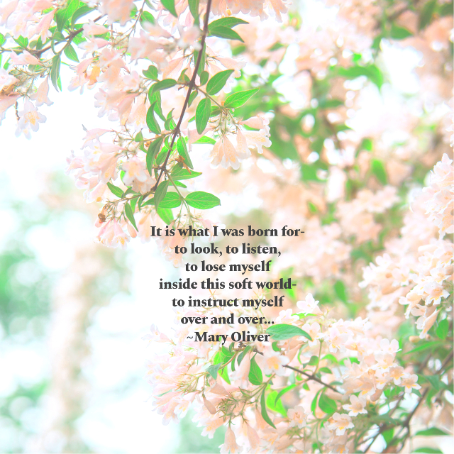 It Is What I Was Born For-