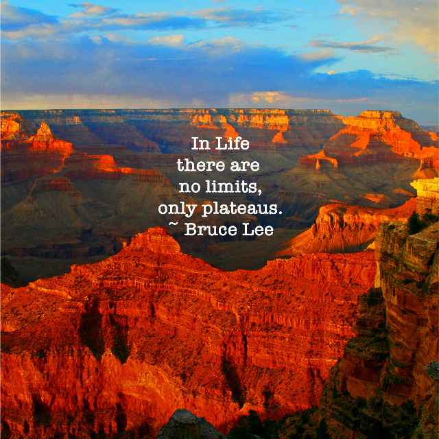 Only Plateaus
