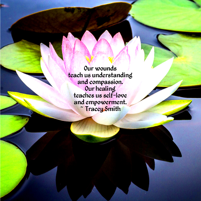 Our Wounds Teach Us