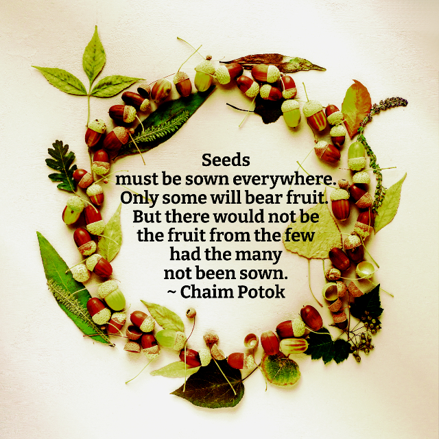 Seeds Must Be Sown Everywhere