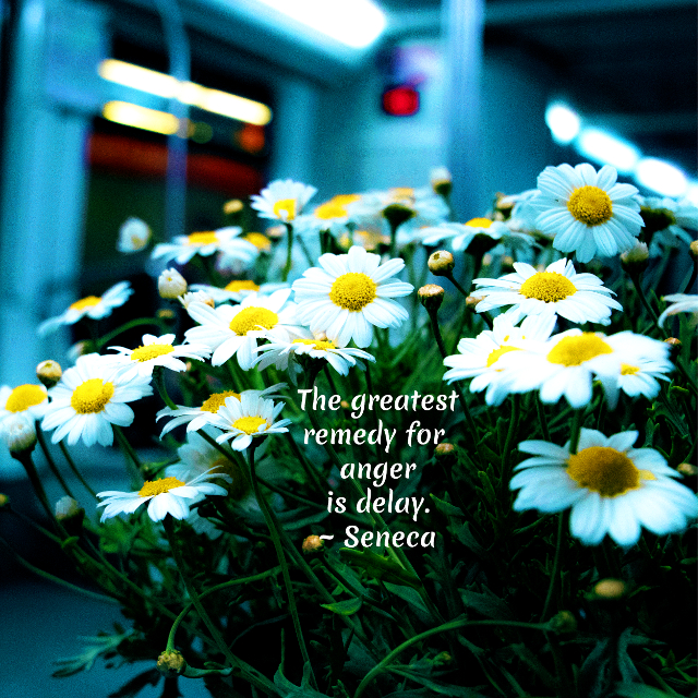 The Greatest Remedy
