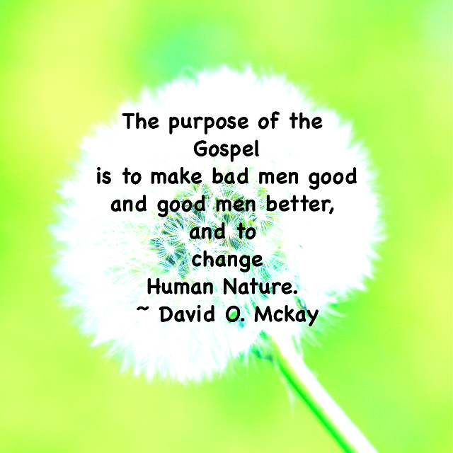 The Purpose Of The Gospel | Emily Romrell