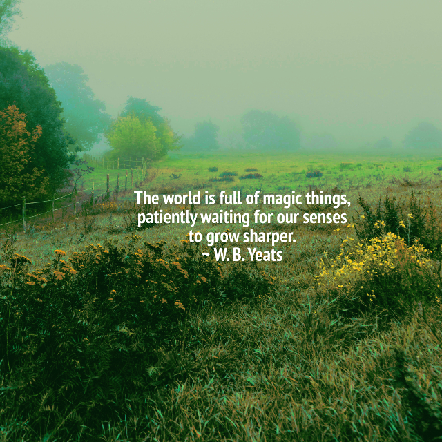 Waiting For Our Senses To Grow Sharper