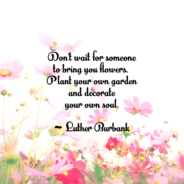 Plant Your Own Garden