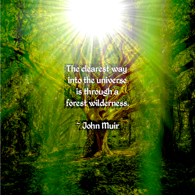 The Clearest Way
