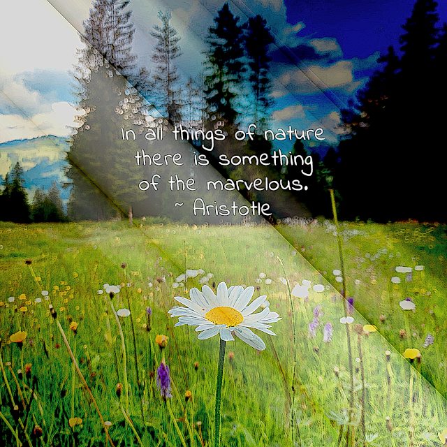 In All Things Of Nature