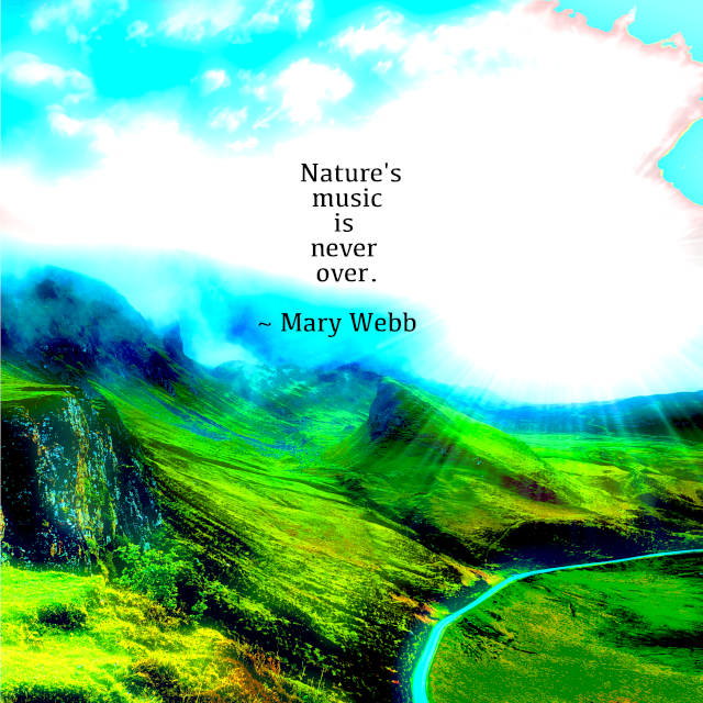 Nature’s Music