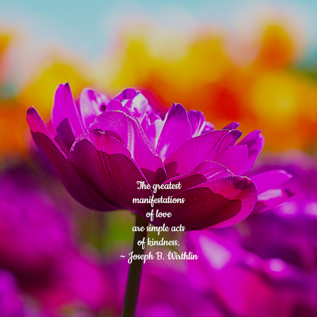 Simple Acts Of Kindness