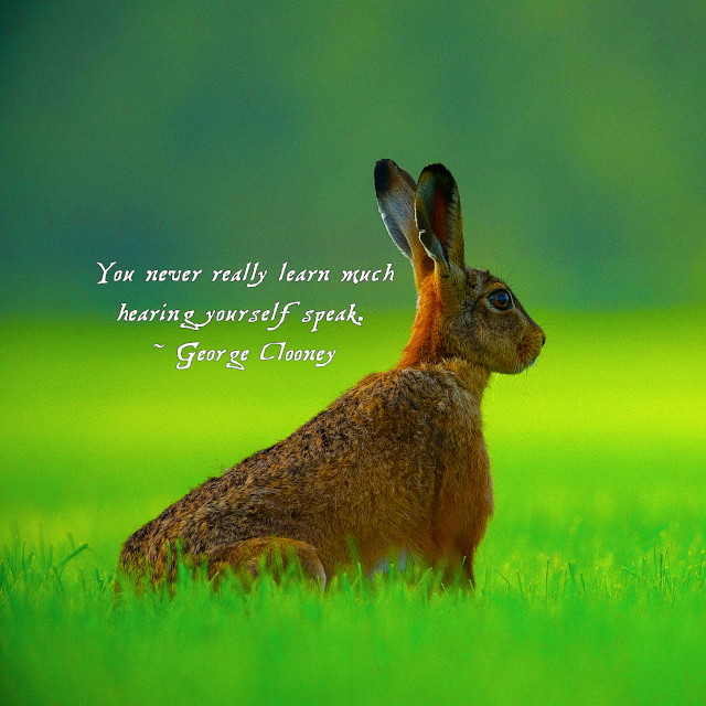 Hearing Yourself Speak