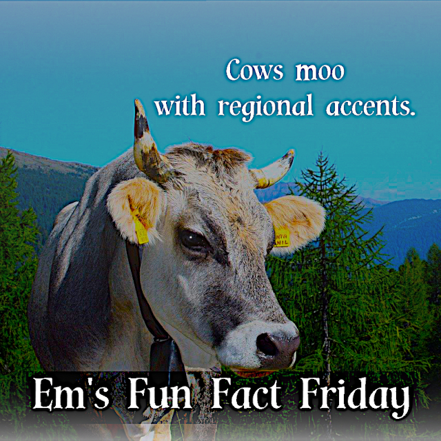 Cows Moo With Regional Accents