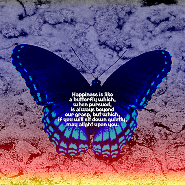 Happiness Is Like A Butterfly