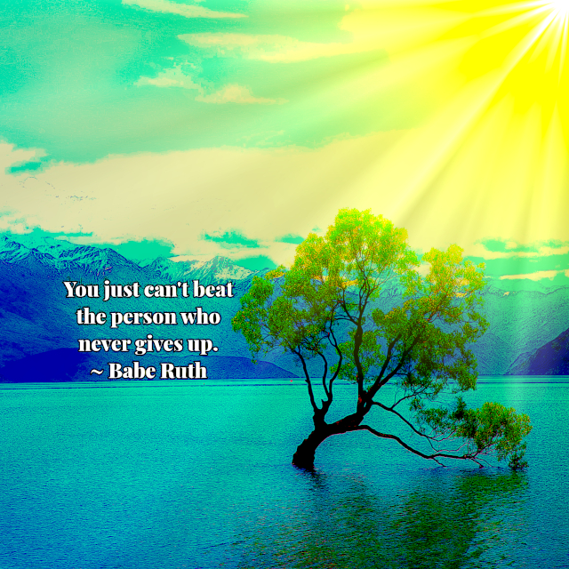 The Person Who Never Gives Up