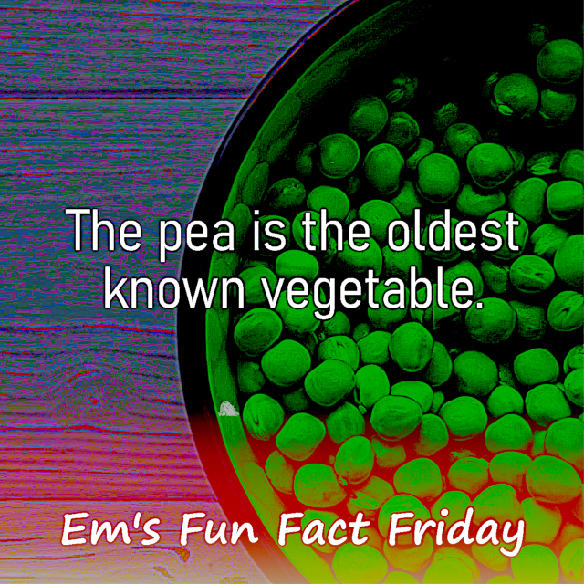The Oldest Vegetable