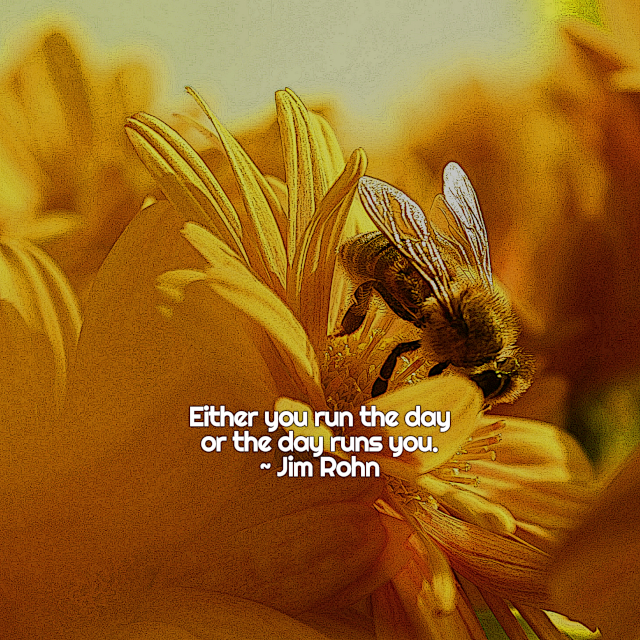 You Run The Day