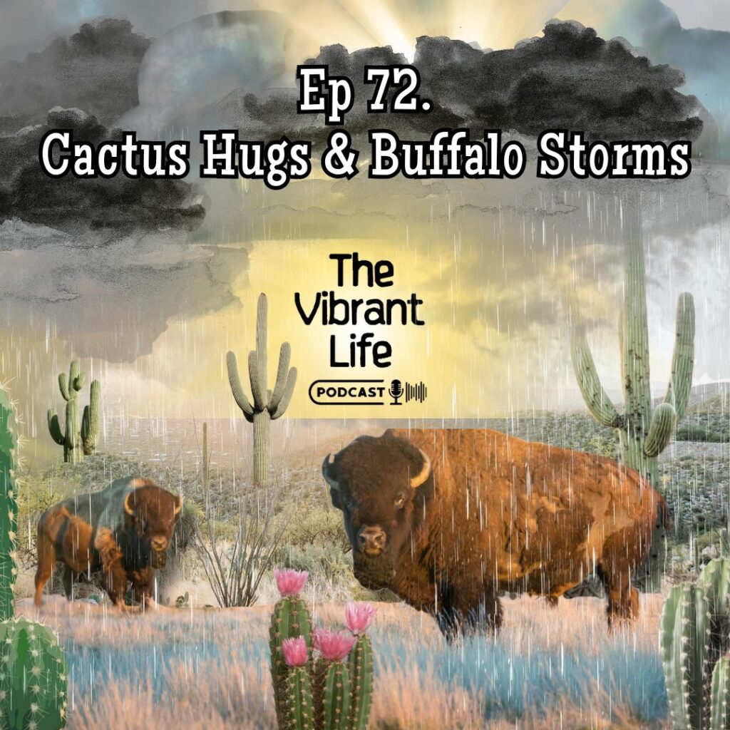 Ep 72. Cactus Hugs And Buffalo Storms