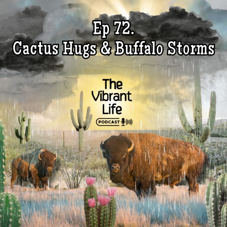Ep 72. Cactus Hugs And Buffalo Storms