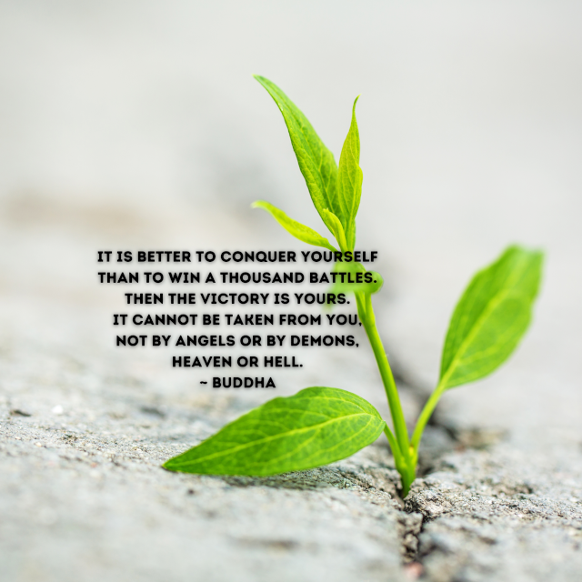Conquer Yourself
