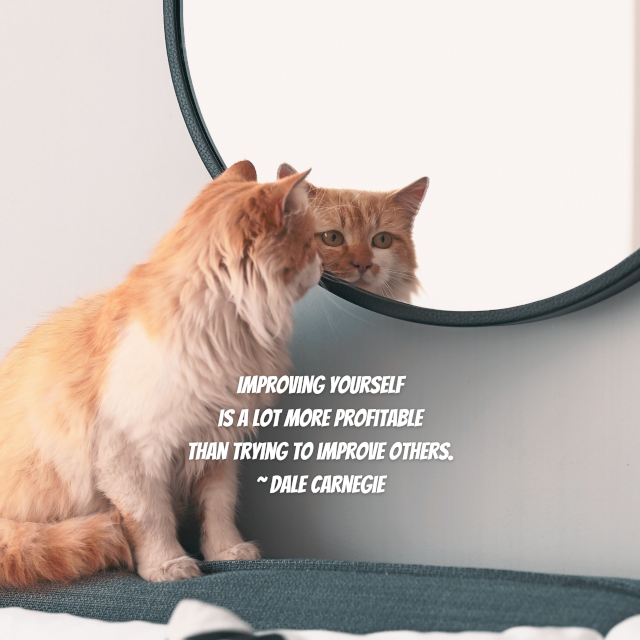 Improving Yourself