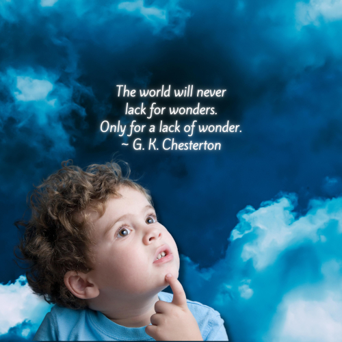 Lack Of Wonder