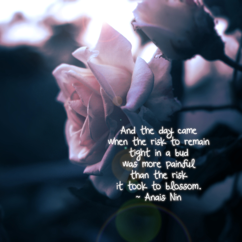 The Risk It Took To Blossom