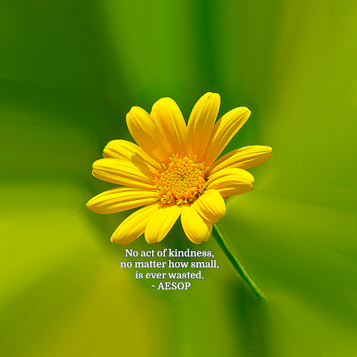 Kindness Is Never Wasted