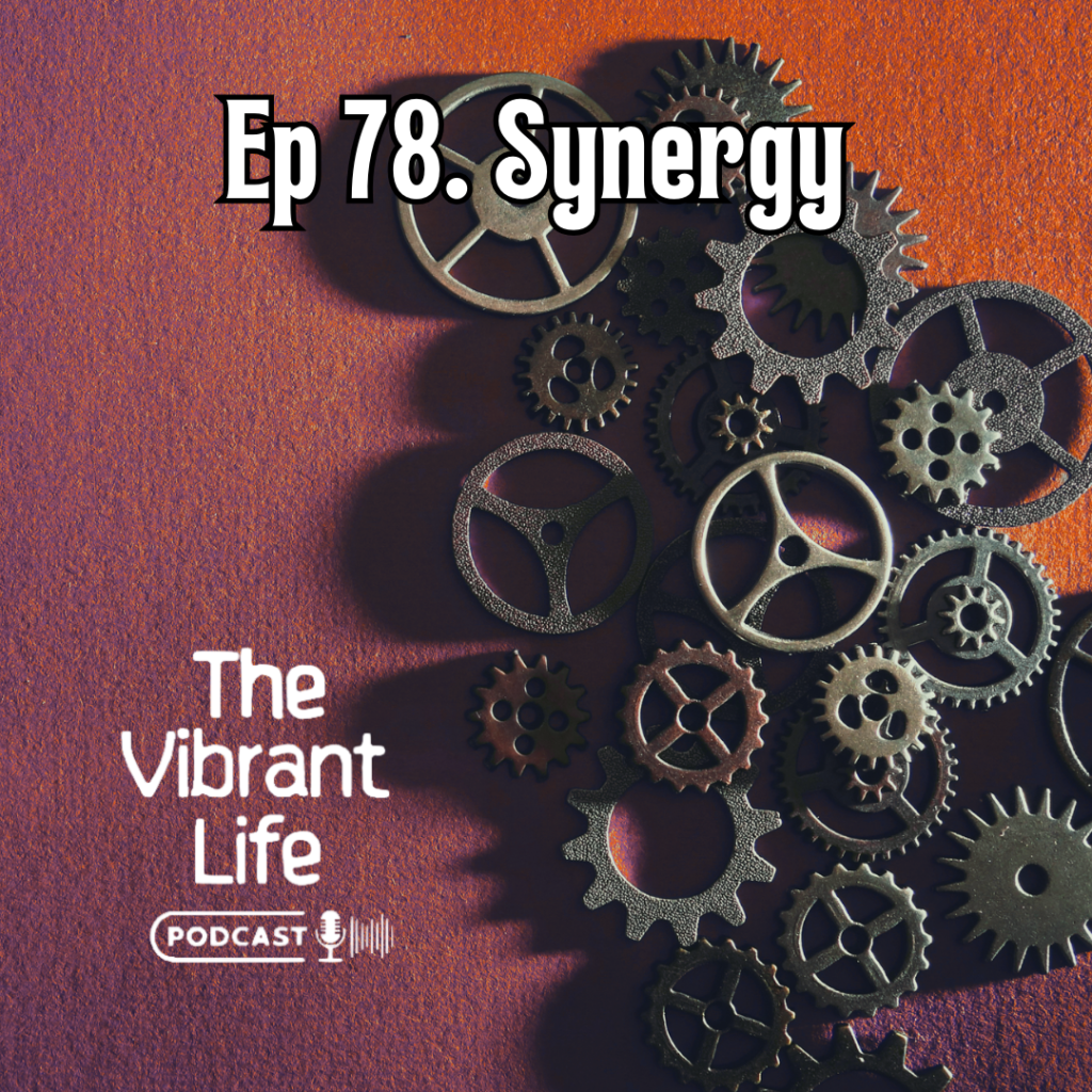 Ep 78. Synergy