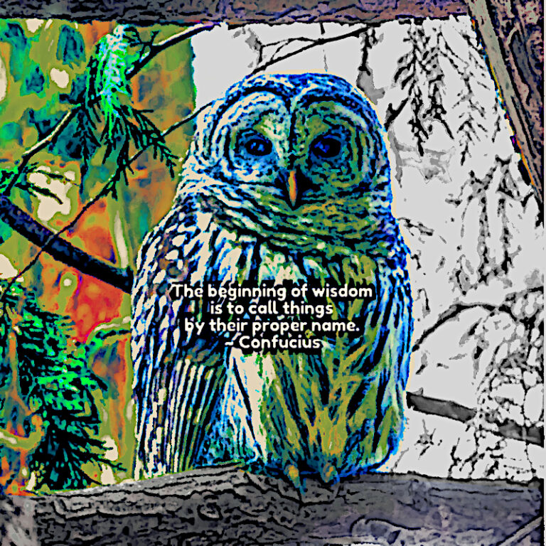 The Beginning of Wisdom