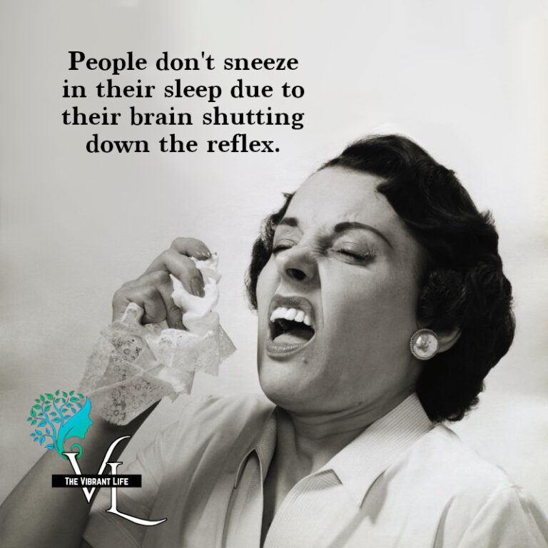 People Don’t Sneeze In Their Sleep