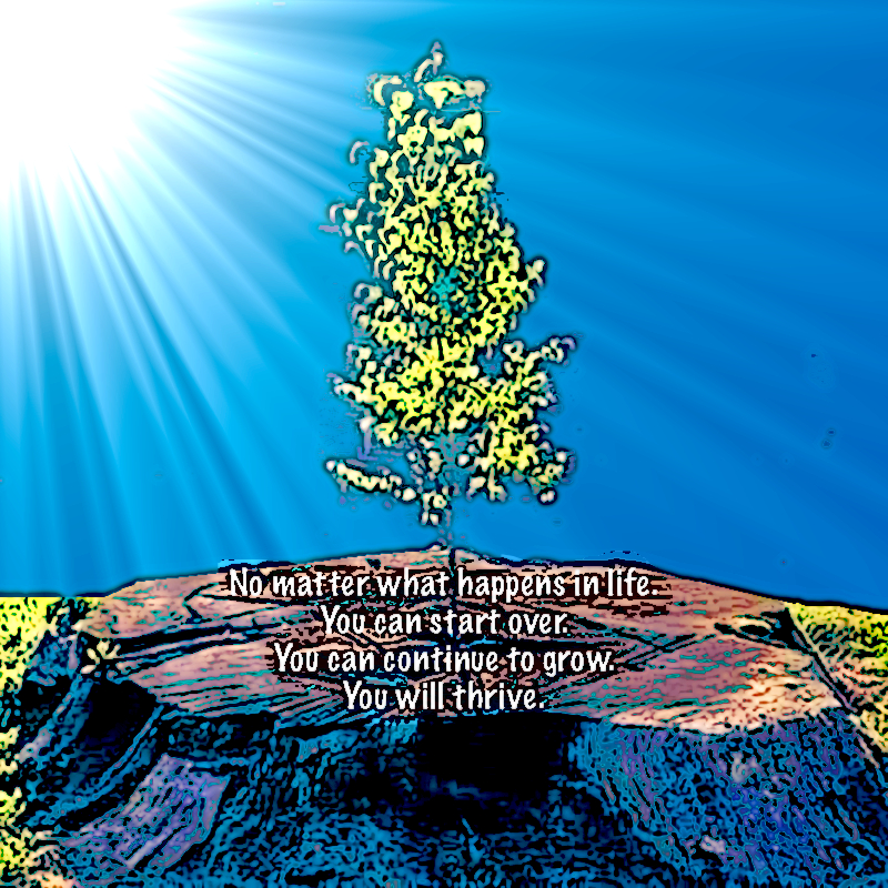 You Will Thrive