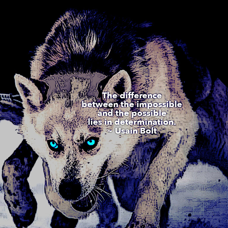 Lies In Determination