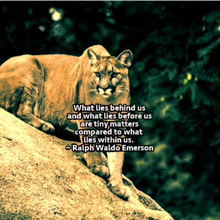 What Lies Within Us