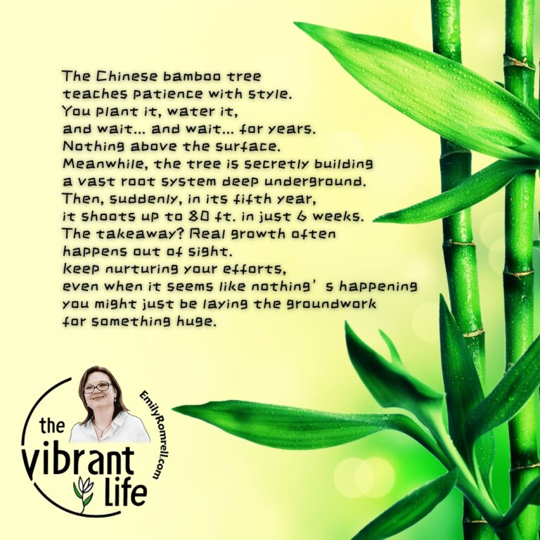 The Chinese Bamboo Tree