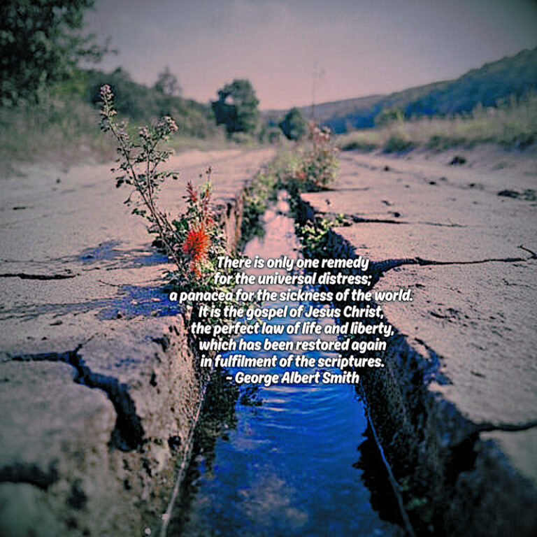 Remedy For The Universal Distress