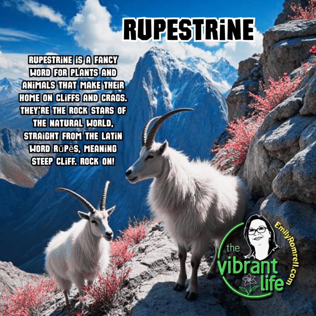 Rupestrine