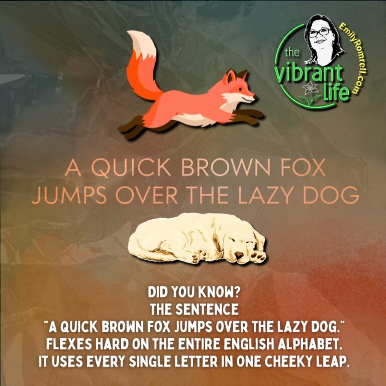 Alphabet Owned in One Leap