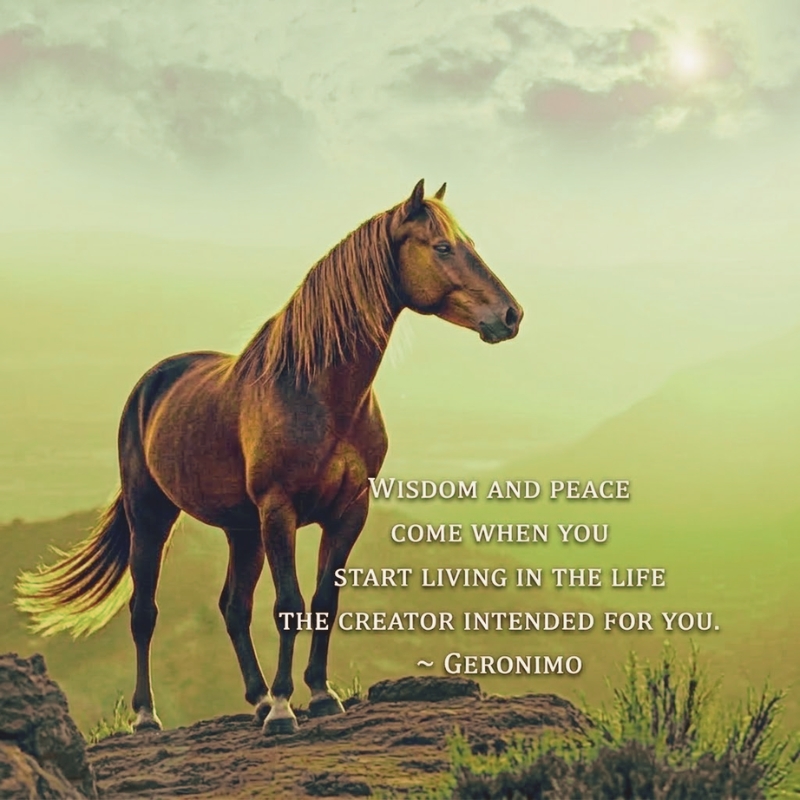 The Life The Creator Intended For You