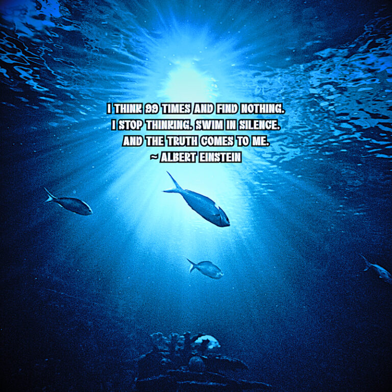 Swim In Silence