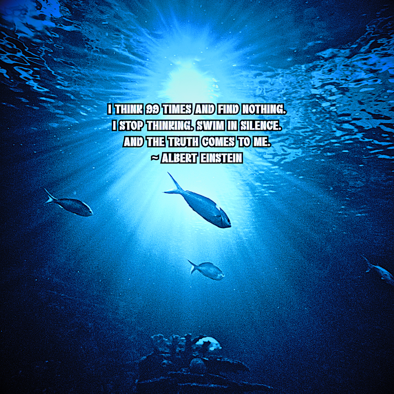 Swim In Silence